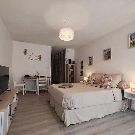 Capouchine Parking Et Balcon Proche Centre