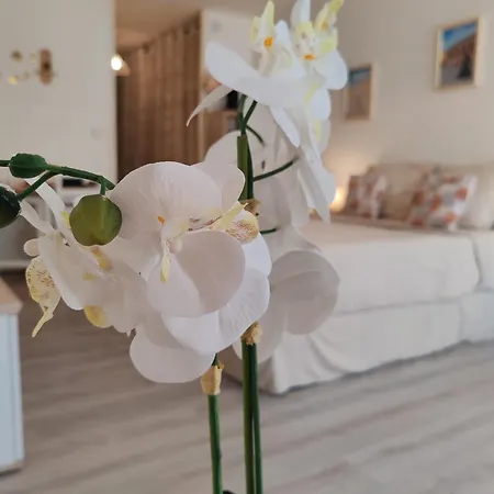 Capouchine Parking Et Balcon Proche Centre Apartament Nîmes