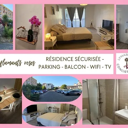 Apartament Capouchine Parking Et Balcon Proche Centre *